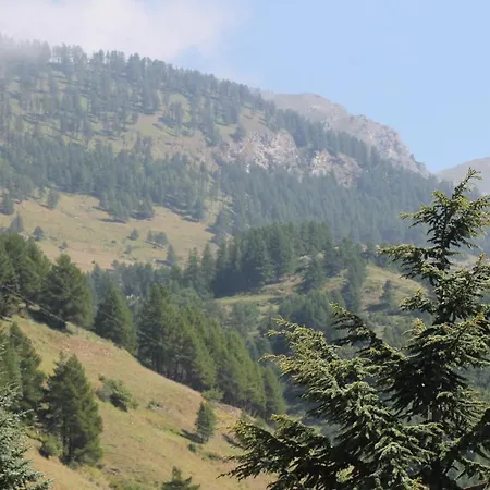 Casalpina Don Barra 3*